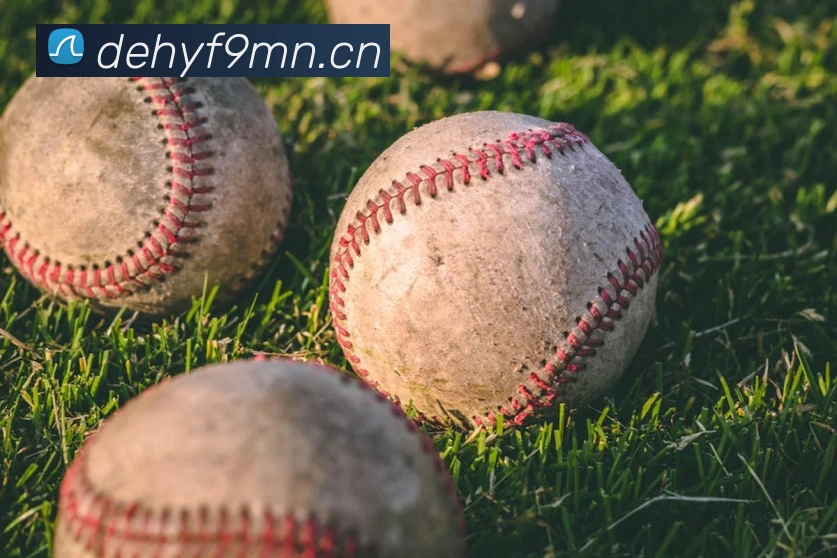 开云app官方入口网站平台生态图