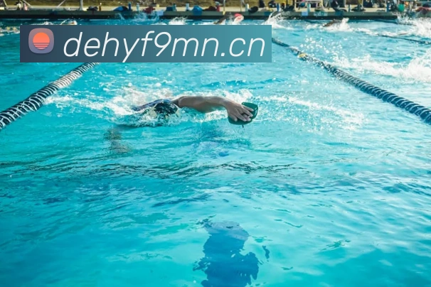 开云app官方入口网站全站App